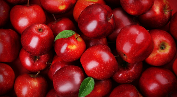 TRSK: Zbiory jabłek w Polsce niższe o 25 proc. rdr
