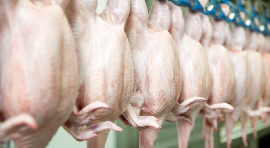 Ferma drobiu Vasilyevskaya, największy producent drobiu w grupie Cherkizovo otrzymał zezwolenie na eksport produktów drobiowych do Iraku; Fot. Shutterstock Rosja: Zezwolenie na eksport drobiu do Iraku