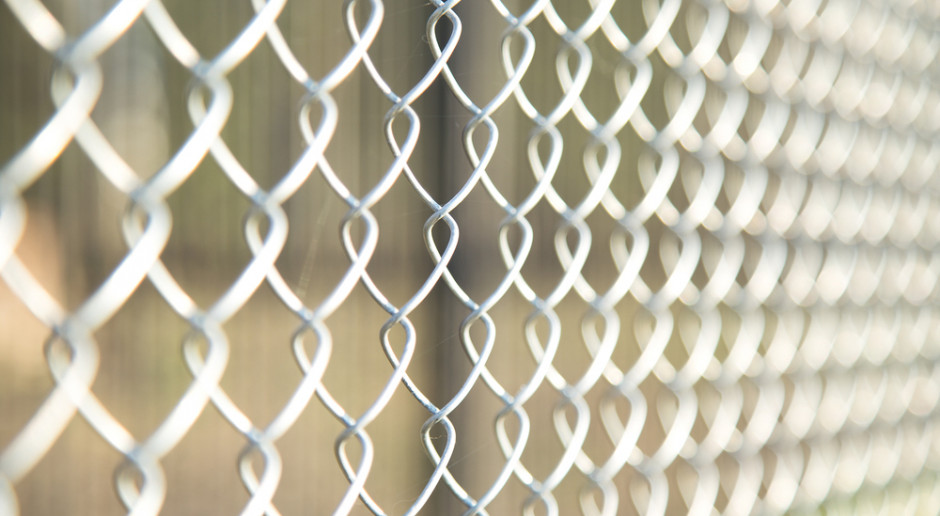 fot. Shutterstock Jurgiel: Koszt ogrodzenia zapobiegającego migracji dzików to 130 mln zł