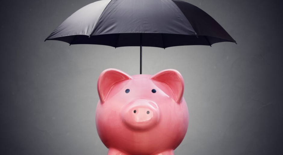Fot. Shutterstock Będą pieniądze na rekompensaty i odszkodowania za ASF