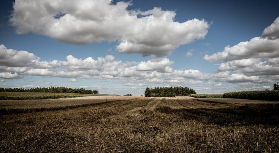 fot. Pixabay Co będzie obszarem proekologicznym EFA od 2018 roku?