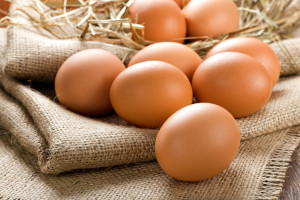 Fipronil w jajach pochodzących z trzech polskich ferm