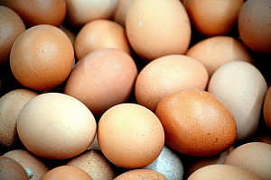 Prawie pół miliona jajek z fipronilem wycofano z bułgarskiego rynku