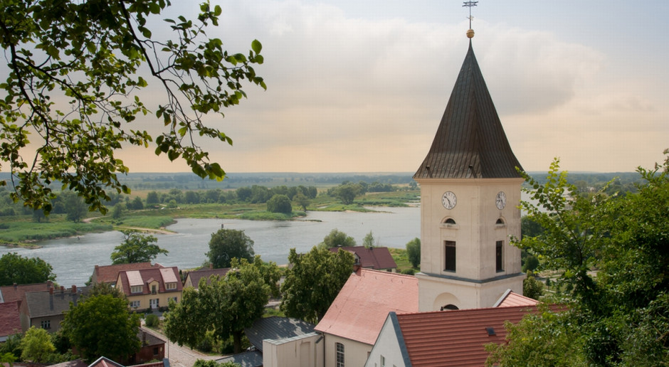 Do zdarzenia doszło w środę po południu w okolicach miejscowości Lubusz (niem. Lebus) nad Odrą, na północ od Frankfurtu, fot. Shutterstock Protest po zastrzeleniu w Niemczech żubra, który prawdopodobnie pochodził z Polski