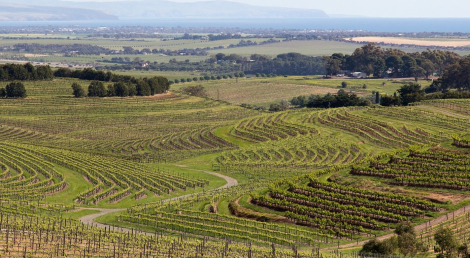 Przychód netto australijskich rolników zwiększył w sezonie 2016/2017 o 16,6 proc. do 22,1 mld dolarów australijskich; Fot.pixabay.com Rekordowe wyniki australijskich rolników