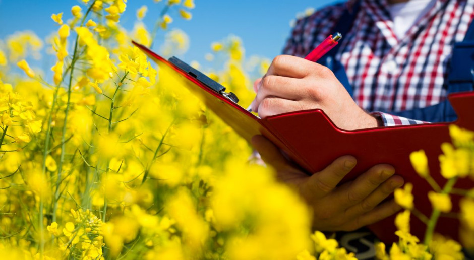 fot. Shutterstock Czego dotyczą nieprawidłowości wykrywane u rolników podczas kontroli ARiMR?