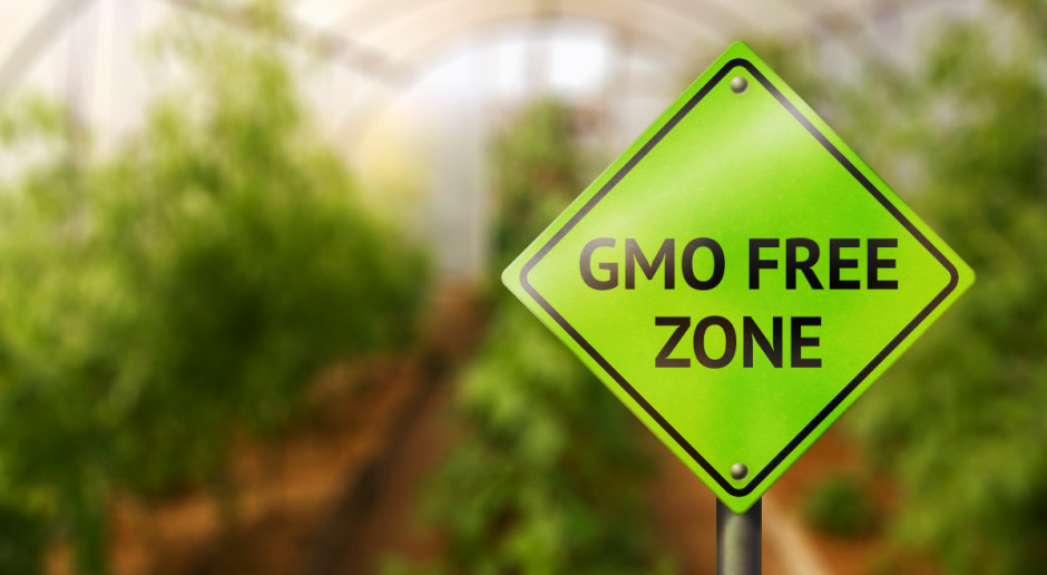 Fot. Shutterstock Bayer: Nie będziemy wprowadzać upraw GMO do Europy