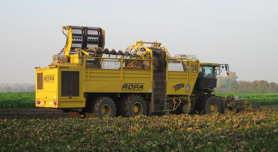 KE: Średnia spodziewanych plonów buraków cukrowych w UE wynosi 76,9 t/ha (Fot.pixabay.com) KE: Prognoza plonów najważniejszych roślin uprawnych w UE
