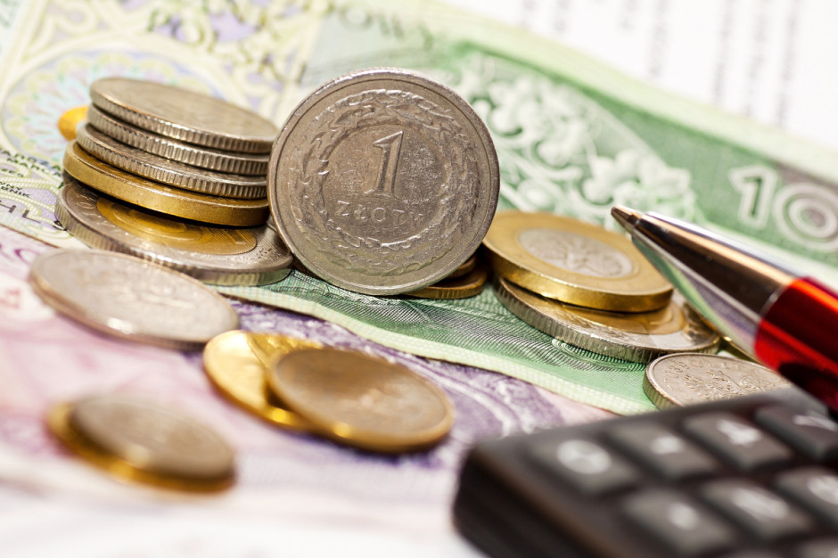 Pula środków w XXI edycji Samorządowego Programu Pożyczkowego wynosi 10 mln zł; Fot. Shutterstock