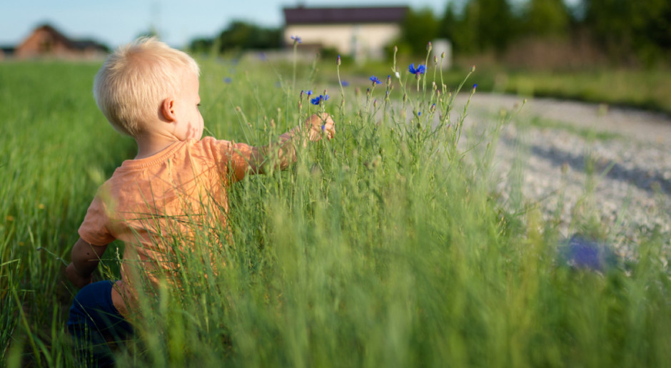 Fot. Shutterstock Premier: Ponad 60 proc. środków z 500 Plus trafia do rodzin na wsi