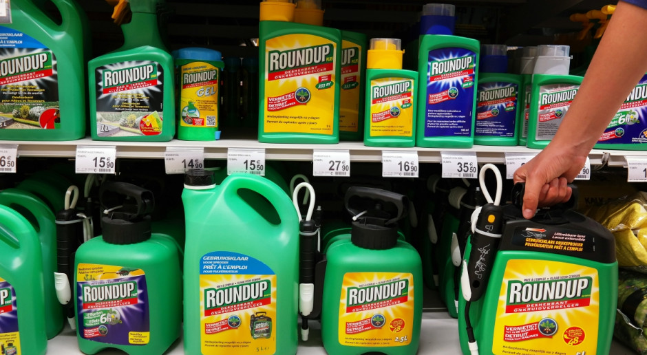 Fot. defotoberg/Shutterstock.com PE zawiesił akredytacje lobbystom Monsanto w związku z glifosatem