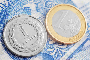Euro do dopłat bezpośrednich po 4.3042, tańsze niż rok temu 