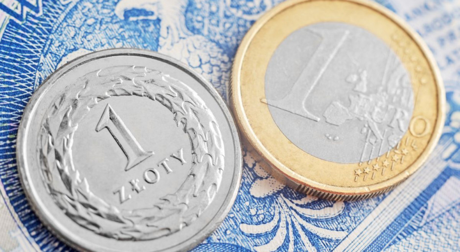 fot. Shutterstock Euro do dopłat bezpośrednich po 4.3042, tańsze niż rok temu