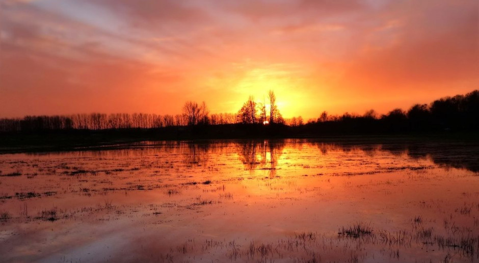 fot. Pixabay Zapobieganie ASF i powodziom z dofinansowaniem z PROW