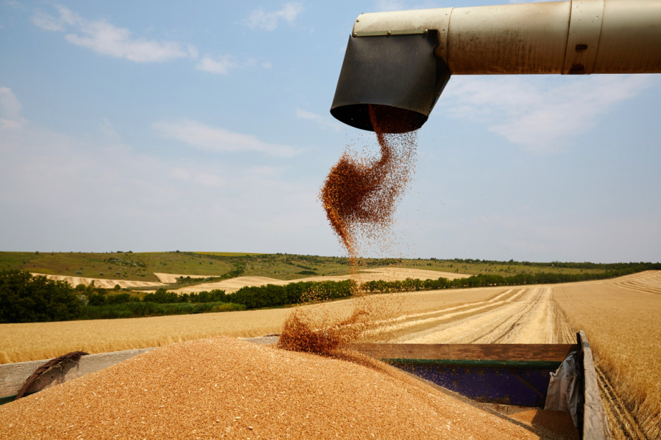 Październikowa prognoza FAO mówi o poziomie światowych zapasów zbożowych wynoszącym 720,5 mln t (Fot.pxabay.com)