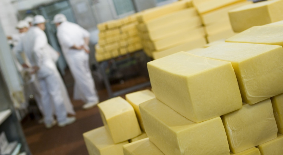 Wytwarzanie produktów mleczarskich wymaga przestrzegania procedur zapewniających bezpieczeństwo żywności,fot.PTWP Jak bezpiecznie produkować ser i inne produkty mleczne w przetwórstwie farmerskim?