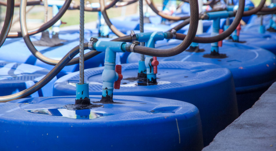 Fot. Shutterstock Gaz z węgla ulatuje Azotom i Tauronowi