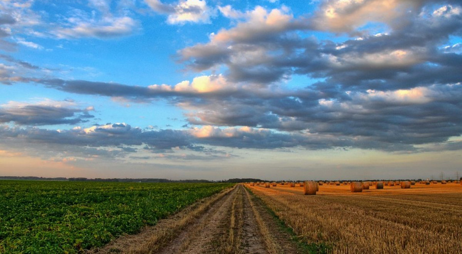fot. Pixabay Czy przedłużać dzierżawy?