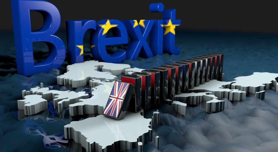 Dochody brytyjskich rolników przez Brexit mogą spaść nawet o 60 proc. (Fot.pixabay.com) Wielka Brytania: Po Brexicie rolnicy mogą stracić znaczną część dochodów