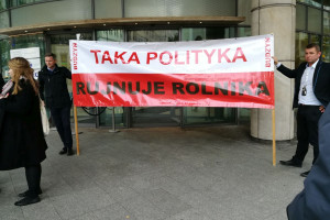 RSW: Nie pozwolimy aby polska wołowina była kartą przetargową
