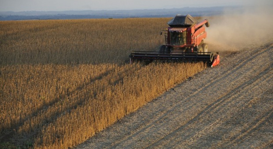 USDA:Światowa produkcja soi w sezonie 2017/2018 prognozowana jest na 347,9 mln ton; Fot. pixabay.com) USDA: Niższa październikowa prognoza światowej produkcji nasion oleistych