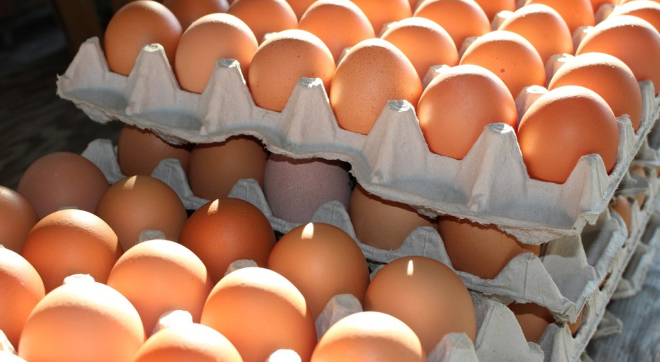 Jak stwierdził prezes rosyjskiego związku producentów drobiu, w wzrosnąć ma w 2017 r. o 1 mld sztuk do ponad 44,5 mld sztuk produkcja jaj (Fot.pixabay.com) Rosyjski przemysł drobiarski zwiększa produkcję