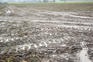 Nadmierne opady i ciężki sprzęt niszczą strukturę gleby na lata