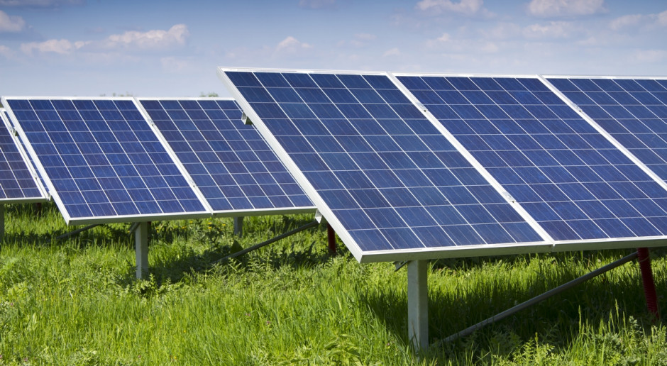Fot. Shutterstock Opolskie: Energia odnawialna przyszłością polskiej wsi