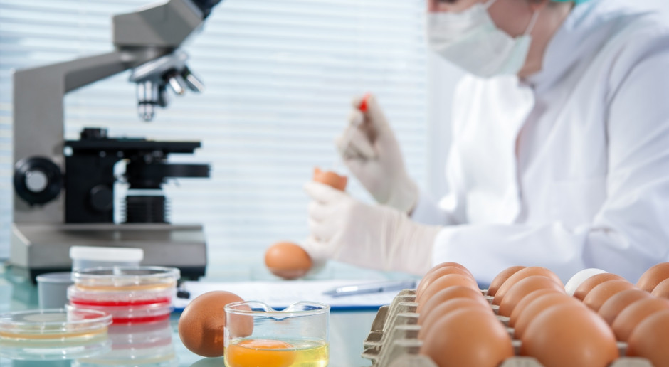 Fot. Shutterstock Polska awansowała w rankingu ws. bezpieczeństwa żywnościowego