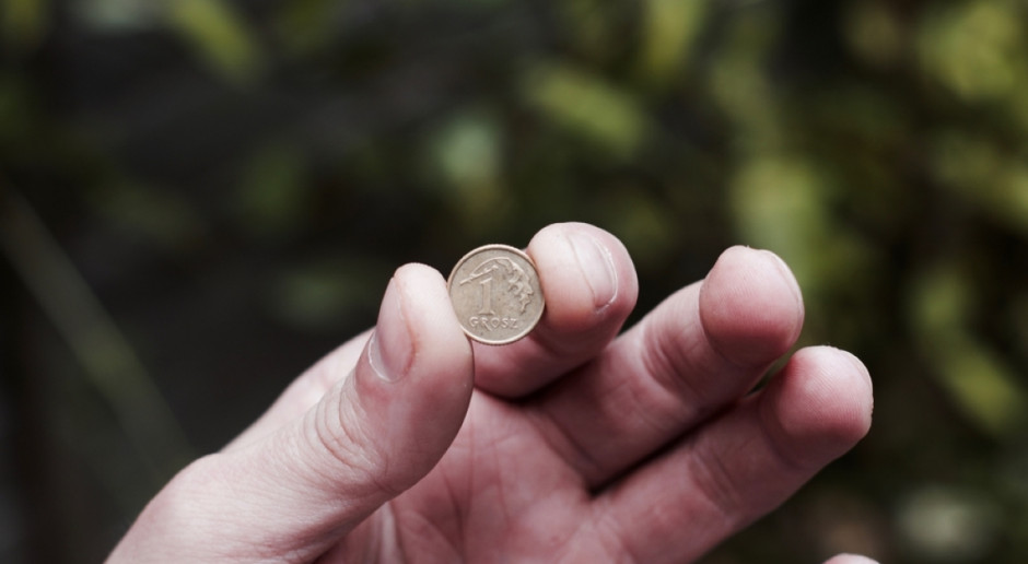 Fot. Shutterstock W 2018 r. podatek rolny 13 gr wyższy