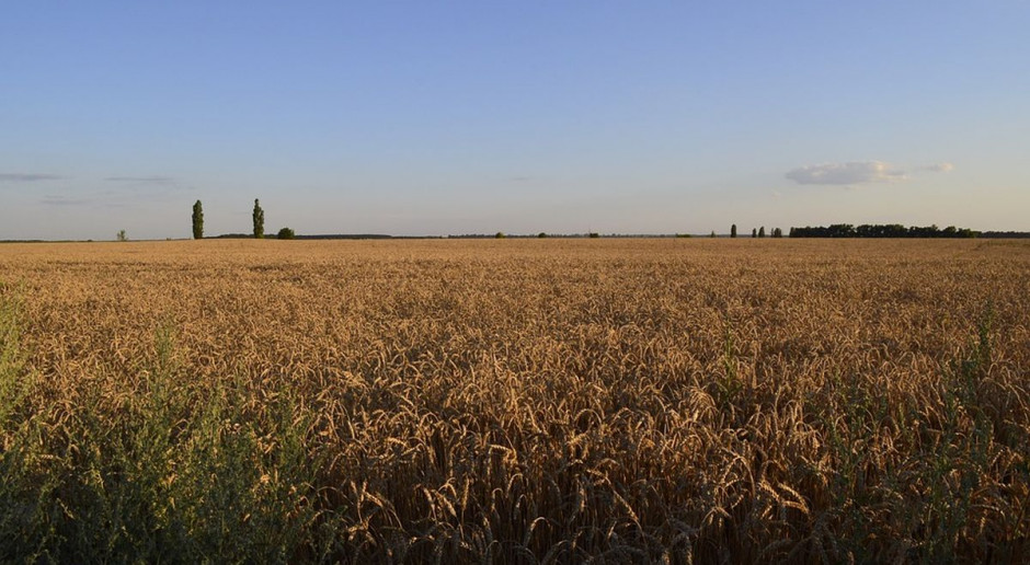 fot. Pixabay Integracja Ukrainy z UE ważniejsza od polskiego rolnika?