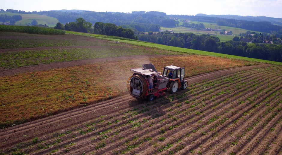 KE: Średnia spodziewanych plonów ziemniaków w UE wynosi 33,7 t/ha (Fot.pixabay.com) KE: Prognoza plonów najważniejszych roślin uprawnych w UE