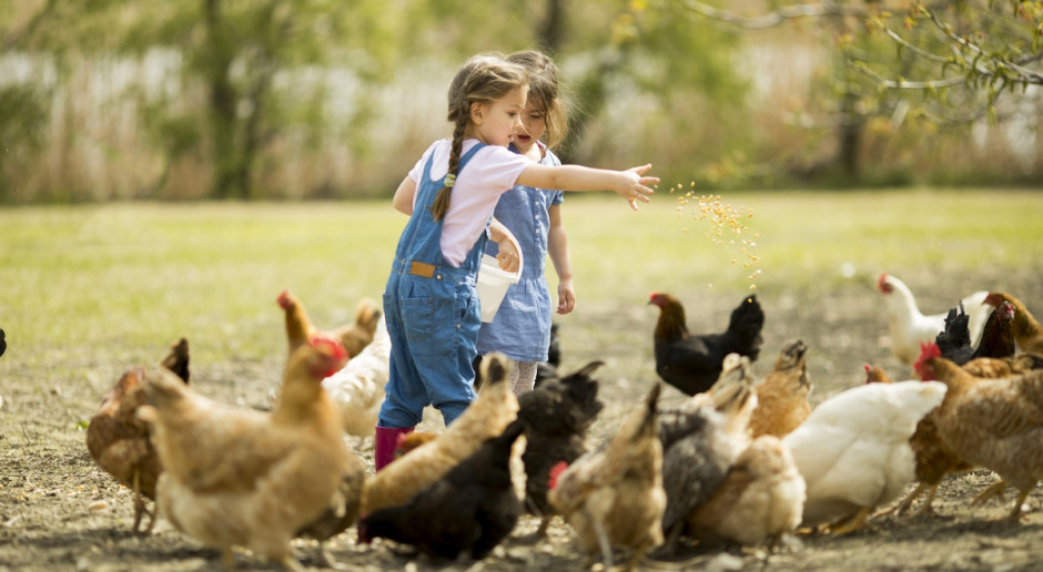 Fot. Shutterstock Na „500 plus” skorzystały rodziny rolnicze?