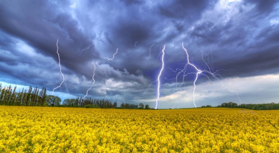Co dalej z biopaliwami, fot. Shutterstock Co z biopaliwami z surowców rolnych - nie jest dobrze