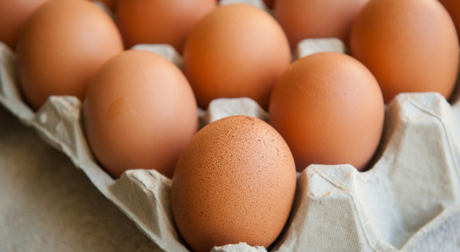 Fot. Shutterstock Ekspert: Jaja najdroższe od kilku lat