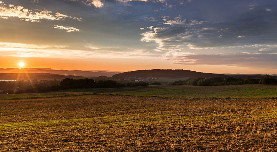 fot. Pixabay Spółki oddadzą państwu ziemię
