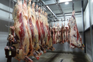 Argentyna chce zwiększyć eksport mięsa
