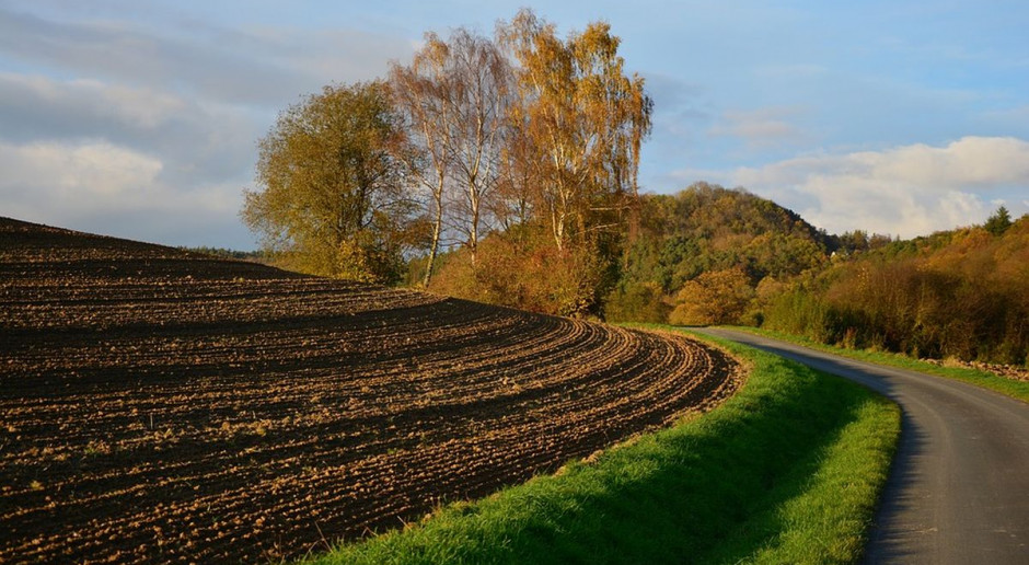 fot. Pixabay Komu i na jak długo KOWR przedłuży dzierżawę?