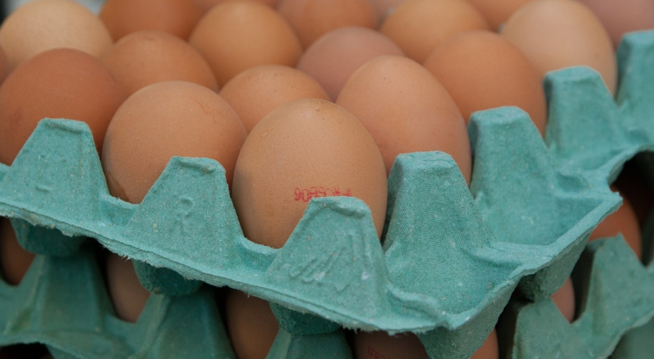 W ostatnim tygodniu października średnia cena sprzedaży jaj konsumpcyjnych w Polsce była jedną z najwyższych w UE i wynosiła 178,15 euro/100 kg (Fot.pixabay.com) Ceny jaj rosną nie tylko w Polsce