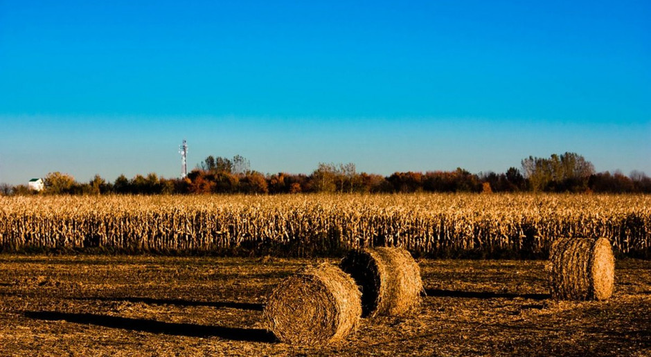 fot. Pixabay Państwo wciąż sprzedaje ziemię