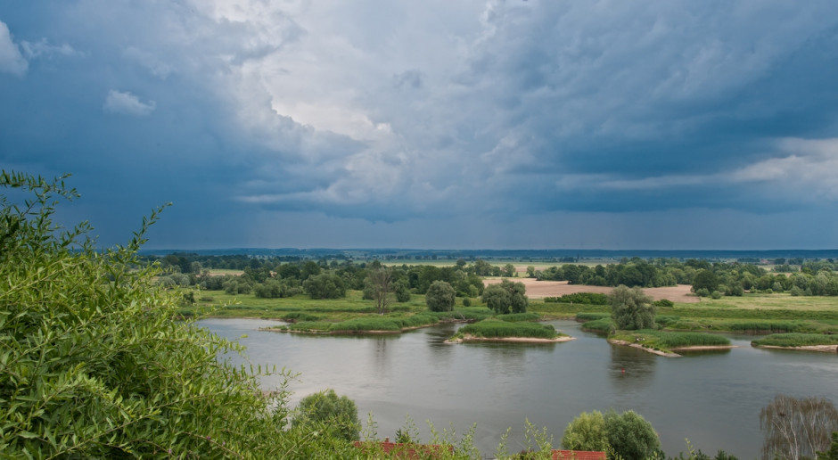 Fot. Shutterstock Zarybienia starorzeczy Odry dla ochrony ptaków drapieżnych