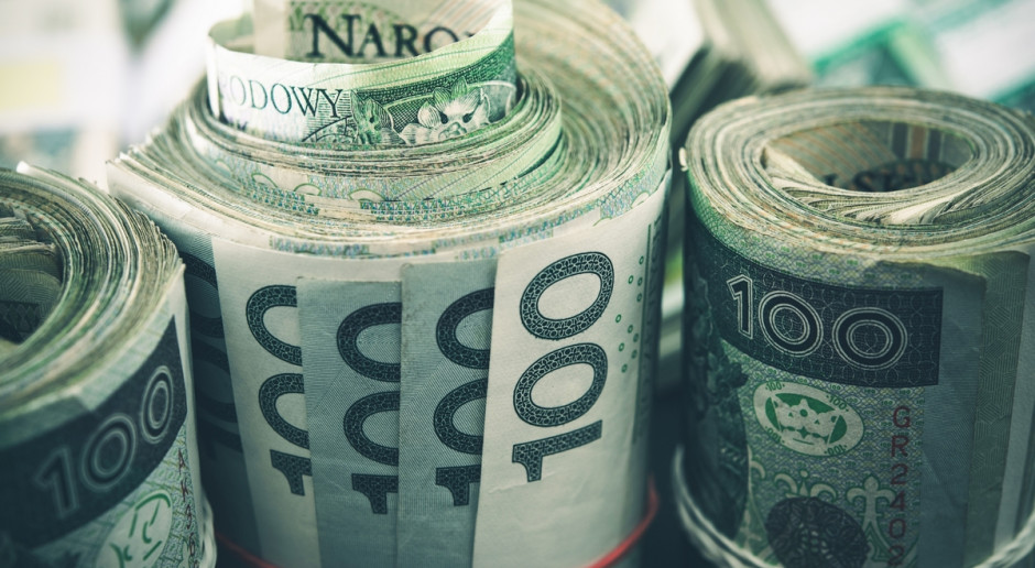Fot. Shutterstock CBA: Wyłudzono ok. 7,5 mln zł z ARiMR