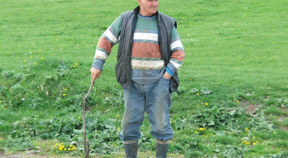 W Rumunii w 2016 r. w rolnictwie pracowała ¼ zatrudnionych