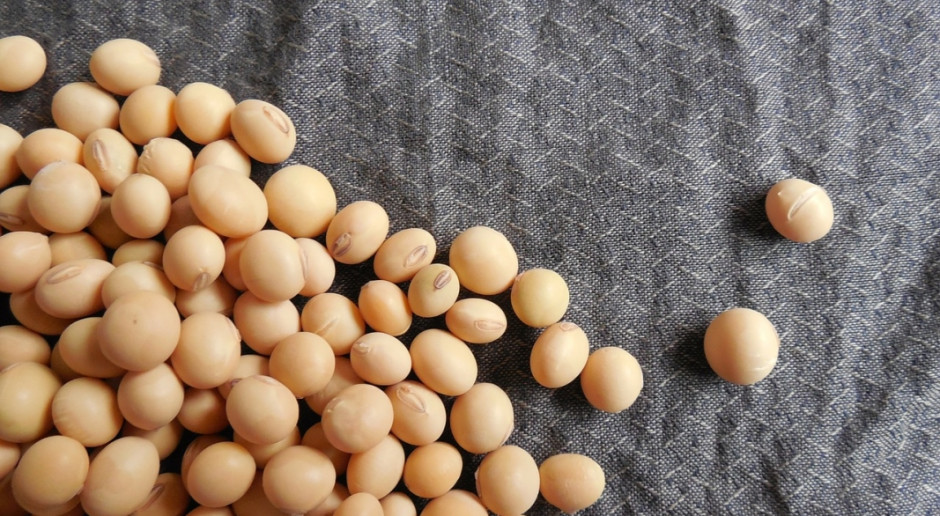 USDA: Światowa produkcja soi w sezonie 2017/2018 prognozowana jest na 349 mln ton; Fot.pixabay.com USDA: Wzrost prognozy światowej produkcji nasion oleistych