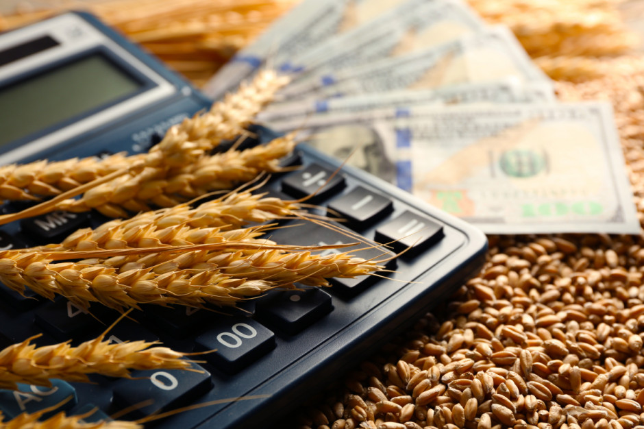 Fundusz Pomocy dla Ukrainy pomoże na rynku zbóż, fot. shutterstock