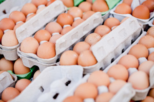 Włoscy rolnicy: Co miesiąc brakuje w handlu 100 mln jajek