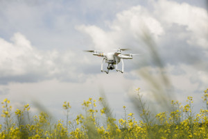 Czy w przyszłości drony zastąpią opryskiwacze?