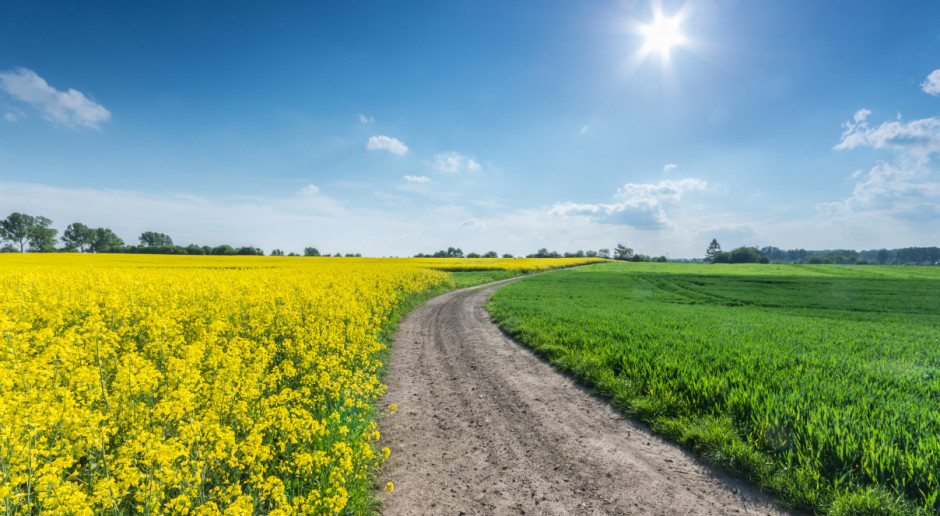 Fot. Shutterstock Ministerstwo Rolnictwa: Trwają konsultacje ws. zmian w ustawach regulujących obrót ziemią