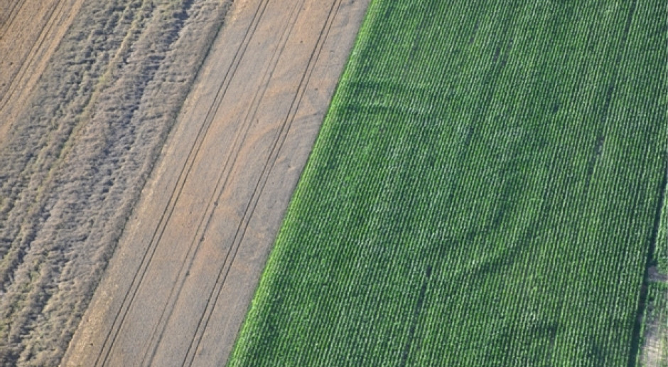 Neolityczny rondel z okolic Oławy z systemem podwójnych rowów, czterem wejściami oraz potrójną palisadą, fot. P. Wroniecki/www.archeolot.pl Kręgi w zbożu - kosmici? Nie, to zabytek