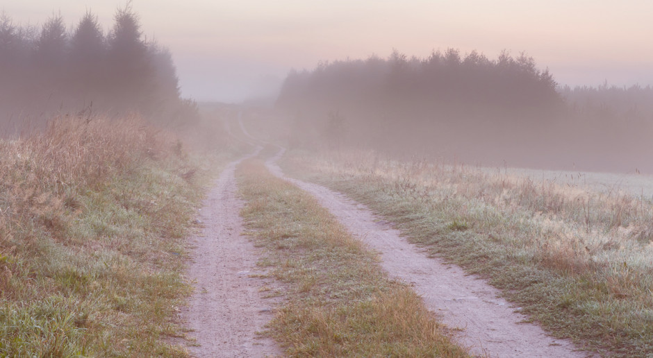 fot. Shutterstock Prognoza pogody: Będzie pochmurnie i chłodno